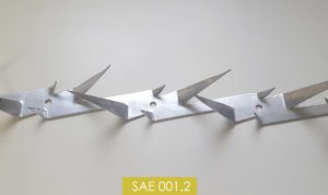 SAE-001-inpag